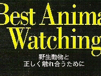Best Animal Watching.jpg